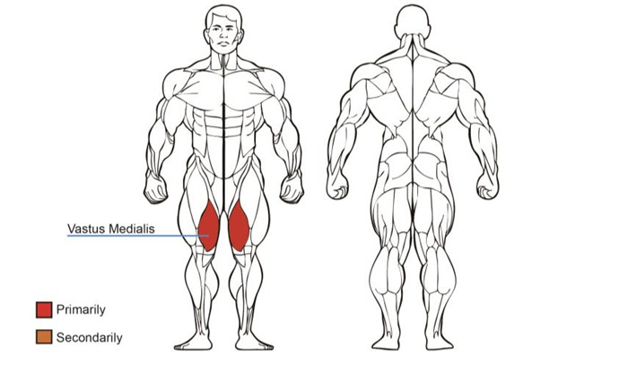 大腿内展香蕉视频黄污