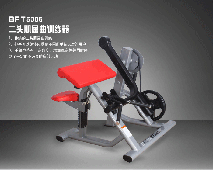 坐式二头肌香蕉视频黄污