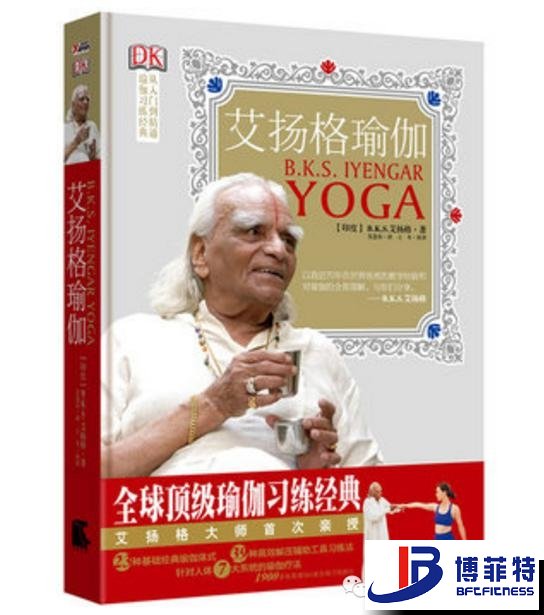 艾扬格瑜伽：精准习练指南